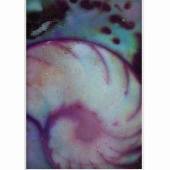 Nautilus Shell Painting, Sea Shell Art, Ocean, Frame Ready, Original Art - Picture 2 of 2